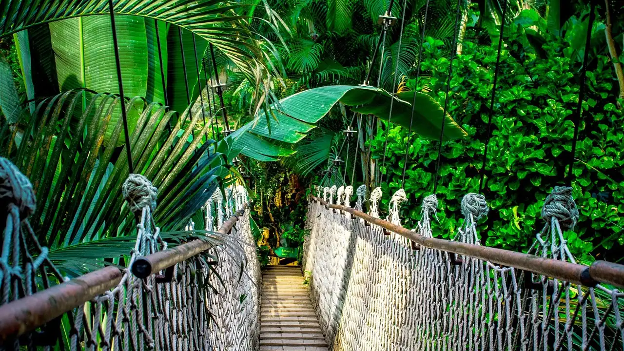 Thai Consonant Classes Are Your Key To Mastering Tones